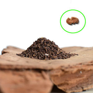 Harmal Bulk Herb para difuminar Fragancia Natural Power Agriculture Product - Product Image 2