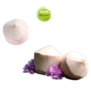 Le rôle de la noix de coco pelée au diamant dans les régimes alcalins - Product Image 4