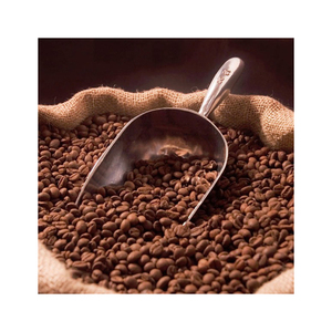 High quality robusta <b>coffee</b> <b>beans</b> prepared for wholesale buyers needing steady volume - Product Image 3