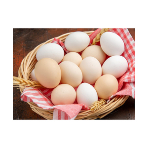 Huevos de avestruz comestibles Fresh Organic Fertile Natural Packed Bulk Farm Supplier Clean Exotic Grade Premium Quality Hatch - Product Image 3