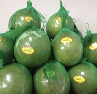Vietnam Groene Pomelo, gemaakt van premium citrusvlees voor vers consumptie, culinaire bereiding en wereldwijde groothandel.