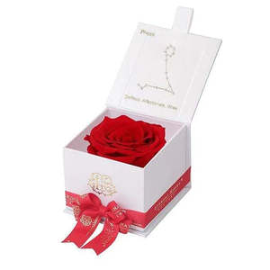 Astor Collection's Eternal Rose PISCES Gift Box Preserved Natural Square Shape Flower for Valentine's Day Mother's Day Gifts - Product Image 1