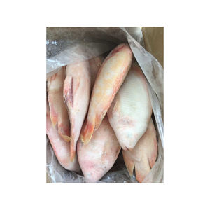 Tilapia Roja Congelada de Grado de Exportación, Suministrada a Granel con Entrega en Cadena de Frío Confiable - Product Image 5
