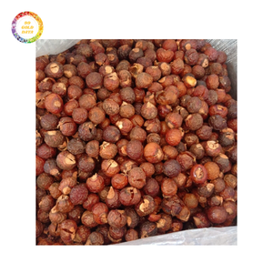 Exportation en vrac de noix de savon du Vietnam Grands résultats de nettoyage et prix abordable pour le marché international - Product Image 2