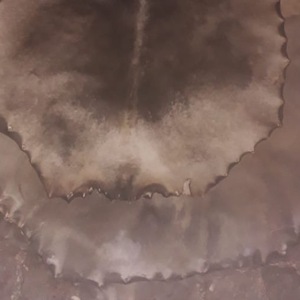 Exhibe pilas de pieles de cabra naturales utilizadas para parches de batería - Product Image 6