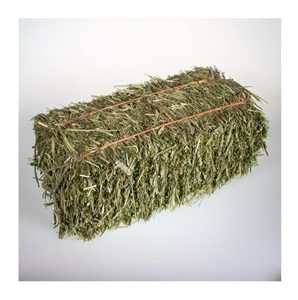Paille de Timothy en vrac à prix avantageux pour l'alimentation animale - Product Image 4