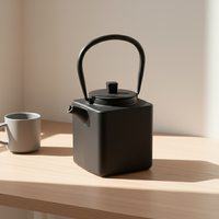 Offre Spéciale 3009441-0.8 Théière en fonte émaillée 800 ml avec couvercle en acier inoxydable Passoire en maille avec poignée en fonte, style japonais, revêtement émaillé en fer