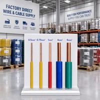 Cable Eléctrico de Cobre de 2 Núcleos, 2.5mm, Aislamiento de PVC, Cable de Alimentación Redondo para Cableado Doméstico e Industrial