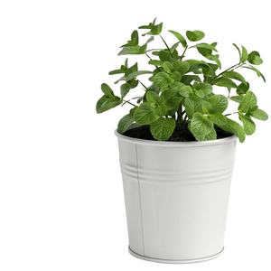 Wholesale Set of Three Handcrafted White Galvanized Metal Planters with <b>Tray</b> Powder Coated for Garden Decoration Customizable - Product Image 1