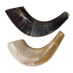 Z Crafts' 100% Natural Pulido Ram Horn Shofar Tamaño pequeño Estilo náutico inspirado en animales Precio - Product Image 2
