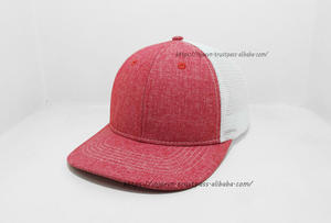 Color personalizado al por mayor gorra de camionero en blanco de fabricante de alta calidad en Vietnam forma estructurada gorras deportivas de 6 paneles - Product Image 3
