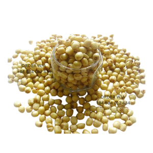 Prêt à manger 2024 graines de lotus séchées manger directement faible teneur en sucre doux non OGM - Product Image 6