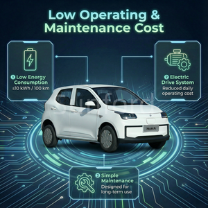 Solarunterstützte Mobilitätsprojekte für Gemeinden: Mini-Elektroauto mit niedriger Geschwindigkeit aus China - Product Image 3