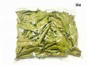 Hojas de Guayaba Secas Crudas Premium, Etiqueta Limpia, Ingrediente Herbal a Base de Plantas para Té - Product Image 3