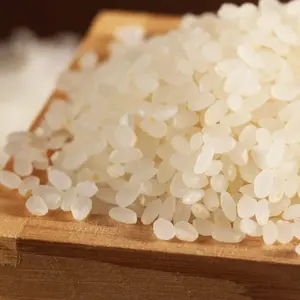 高品质批发日本寿司米RIZ，粳米碎5% 5公斤10公斤25公斤袋短/圆谷物，非常便宜的出口