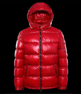 Chaqueta Acolchada Impermeable con Capucha para Hombre, Estilo Casual, con Cuello Alto, Colores y Logotipo Personalizados para Uso en Exteriores en Invierno - Product Image 4