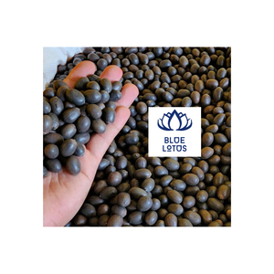 Graines de lotus noir de qualité supérieure pour manger des graines propres Desserts parfaits Les graines frugales propres sont sélectionnées parmi le lotus bleu du Vietnam - Product Image 1