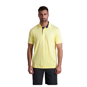 เสื้อโปโลผู้ชายผ้าฝ้ายสีพื้นพิมพ์ลายแบบกำหนดเอง - Product Image 1