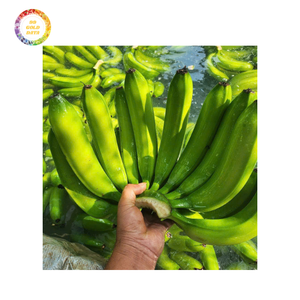 Venta al por mayor vietnamita Premium Fresh Cavendish Banana Custom Logo Green Banana | Vietnam Highland Banana - Product Image 6