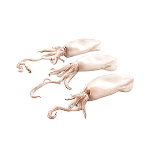 Calamar géant congelé entier, nettoyé, qualité supérieure, produits de la mer - Product Image 4