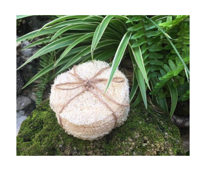 Esponja de esponja vegetal comprimida de alta espuma para lavar platos de pulpa de madera, esponja ecológica para lavar platos de 99 GD - Product Image 1