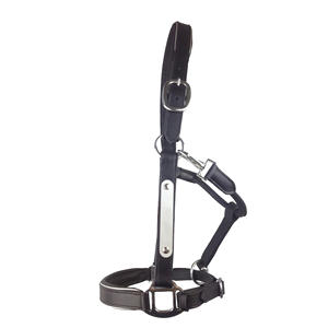 Cabestro de Cuero para Caballo de Alta Comodidad 2026, Cabestro de Cuero de Alta Calidad con Herrajes de Latón, Totalmente Ajustable y Portátil - Product Image 2