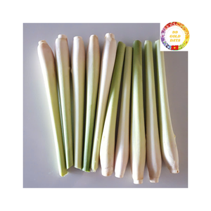 ตะไคร้แช่แข็งต้นกำเนิดจากเวียดนามสำหรับการส่งออกจำนวนมากและอุตสาหกรรมอาหารใช้พร้อมรับประกันความสดใหม่ - Product Image 4