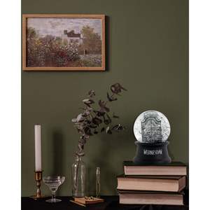 เนเวอร์มอร์ อะคาเดมี เว็นเซดเดย์ สโนว์โกลบ ดีไซน์พลาสติกทนทาน - Product Image 1