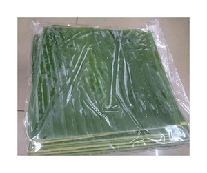 Feuilles de bananier congelées en gros, stock disponible, feuilles de bananier congelées fraîches du Vietnam, feuilles flexibles pour la restauration - Product Image 1