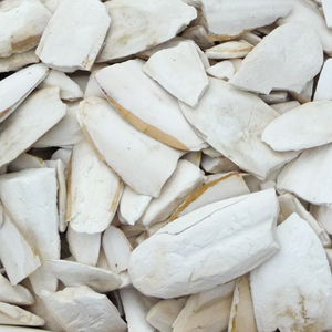 HUESOS DE CALAMAR SECOS DE CUTTLEBONE NATURAL MEJOR PRECIO DE VIETNAM - Product Image 3