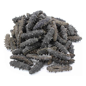 Pepino de mar fresco disponible en varios tamaños para compradores internacionales - Product Image 1
