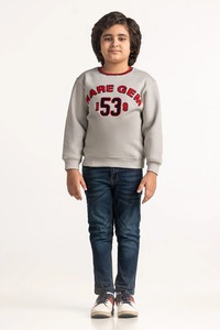 Sweatshirts pour enfants imprimés de la faune pour garçons Pulls en coton graphiques d'animaux pour les jeux en plein air - Product Image 2