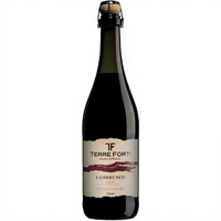 Terre Forti Vin Rouge Pétillant Italien Doux Lambrusco Amabile IGT Magnum 1500ml 6 Bouteilles par Boîte