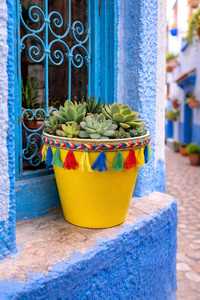 Maceta Decorativa de Plástico con Borlas Amarillas NF Lauren, Estilo Boho, Decorada a Mano, para Plantas de Escritorio - Product Image 5