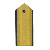 Épaulettes dorées personnalisées 2024, épaulettes d'uniforme, équipement de protection individuelle, tissu en laiton, logo personnalisé, conception OEM personnalisée