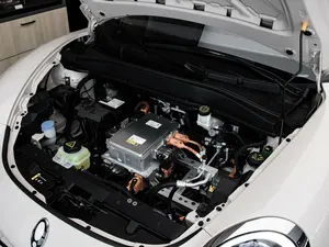 2023 Oral 03G.T Double Lithium R18 Vagoneta de Cuero con Techo Panorámico, Portaequipajes de Aleación de Aluminio, 6 Asientos - Product Image 6