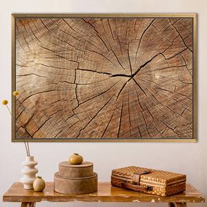 Impression sur toile d'art abstrait moderne sur le thème de la nature - Décoration murale contemporaine, 1P : encadré or - Product Image 1