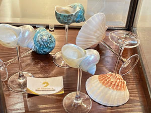 2025 nouveau fait à la main écologique Martini coquillage verre conque tasse à vin naturel plage fête de mariage décor de fête de mariage - Product Image 6
