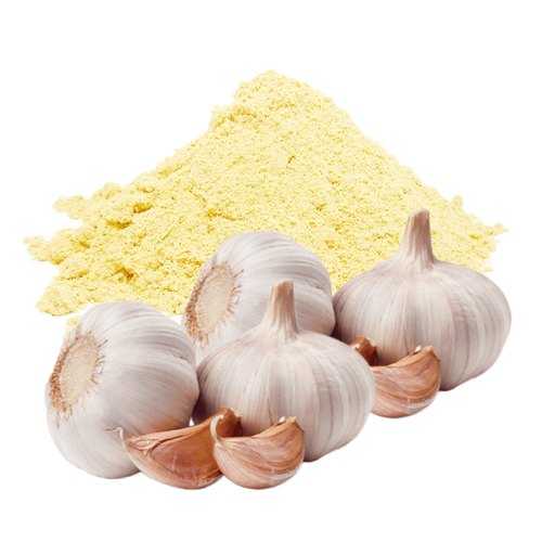 Hot Selling Allium Sativum White Garlic Extract (Lahsan) Powder Wholesale Bulk Herb Supplier From India At Best Price