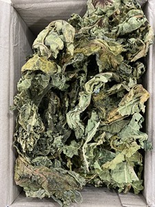 Feuilles de papaye séchées d'origine vietnamienne, Carica Papaya, en vrac, matière première pour le thé, directement de l'usine, étiquette personnalisée - Product Image 4