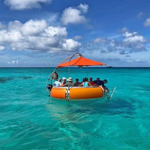 Round Electric Donut <b>BBQ</b> <b>Boat</b> for Summer Lakeside Park Open-air <b>Grilling</b> Experience - Product Image 3