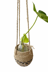 CONE GANTUNG Panier suspendu pour plantes en jonc de mer tressé à la main, style bohème, en corde naturelle, pour intérieur et extérieur, support décoratif pour plantes, décoration intérieure - Product Image 2
