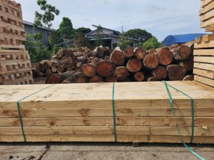 Đẹp Sang Trọng Phía Nam Màu Vàng Thông Cứng Gỗ Mouldings Chất Lượng Tuyệt Vời Cho Xây Dựng Dài Gỗ Mouldings Cho Xuất Khẩu - Product Image 2