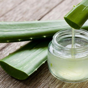 เจลว่านหางจระเข้คุณภาพสูงสำหรับผลิตภัณฑ์เสริมสุขภาพและสูตรเครื่องสำอาง - Product Image 5