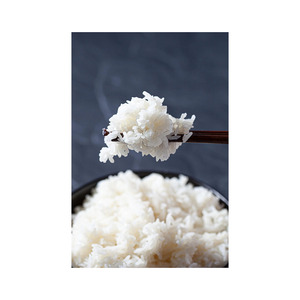 Riz Jasmin en gros, approvisionnement en vrac, stock frais, prix abordable, livraison rapide et sécurisée - Product Image 6