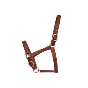 Laisse pour cheval légère et fiable, idéale pour le toilettage quotidien, sangles faciles à ajuster pour un maintien sécurisé. - Product Image 3