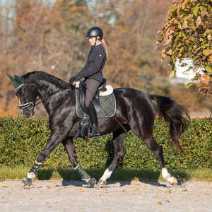 Juego de sudaderos para caballo personalizables en verde oscuro, de calidad premium, con forro de tela de poliéster duradero, cómodos para doma y salto. - Product Image 4