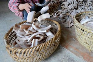 Peine hecho a mano: mango competitivo de cuerno de búfalo Phoenix para mujeres, hombres y niñas para cabello grueso y rizado y ondulado. - Product Image 1