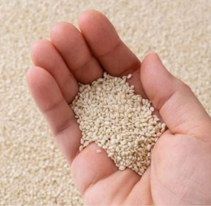 Graines de sésame blanc biologiques récoltées en 2026, approvisionnement en vrac, fraîches, de haute qualité, naturelles, de qualité supérieure, pour l'industrie alimentaire, la boulangerie - Product Image 1