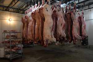 Viande d'agneau congelée de haute qualité, halal, emballée fraîchement, IQF, cuisse, épaule, rack, coupes désossées, approvisionnement en vrac pour le marché des restaurants - Product Image 3